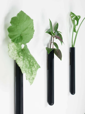 Muurbloempjes - set van 3