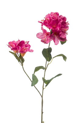 Kunsttak Rhododendron - set van 2