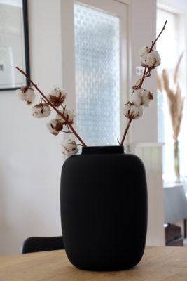Vaas Artic black