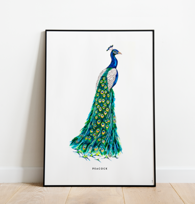 Poster Bintje Pauw