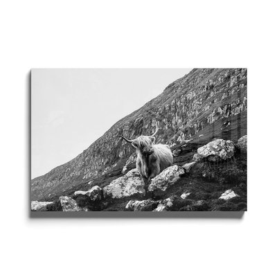 Walljar acrylglas schilderij - Ox in Meadow