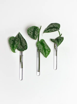 Muurbloempjes - set van 3