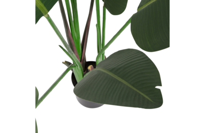 Kunstplant Strelitzia