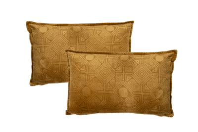 Kussen Velvet 50x30 cm