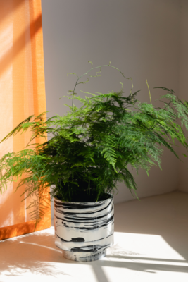 Zuiver plantenpot Conic