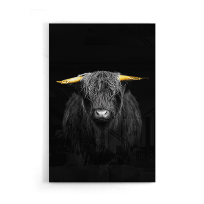 Walljar acrylglas schilderij - Gold Ox Horns
