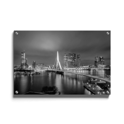 Walljar plexiglas schilderij - Rotterdam Skyline II