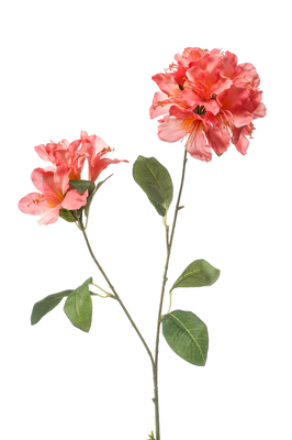 Kunsttak Rhododendron - set van 2