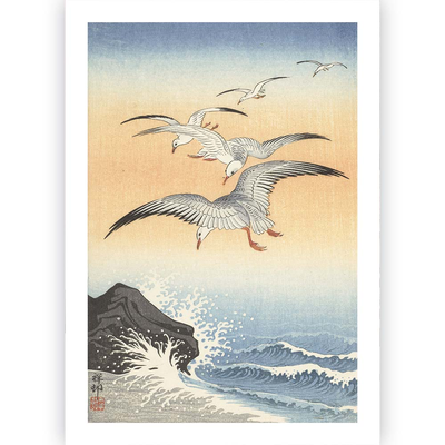 Poster Ohara Koson - Seagulls