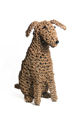 Seagrass hond zittend