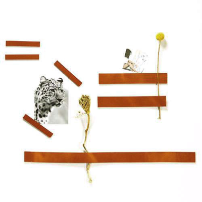 Leren magneetstrips (set) (7 stuks)