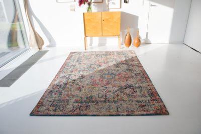 Ecorugs vloerkleed Bakhtiari multicolor