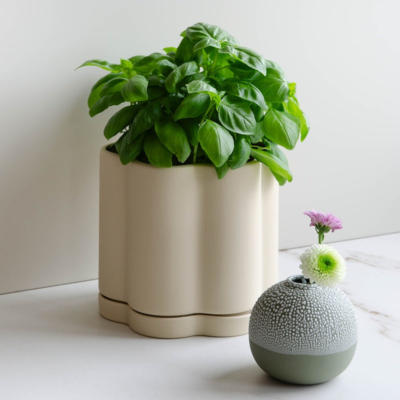 Bloempot Nala