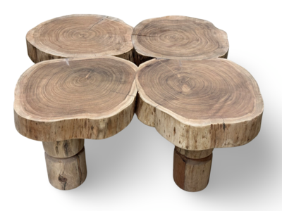 Salontafel naturel uniek