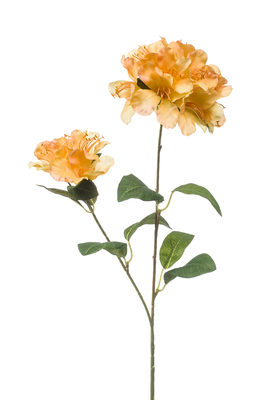 Kunsttak Rhododendron - set van 2