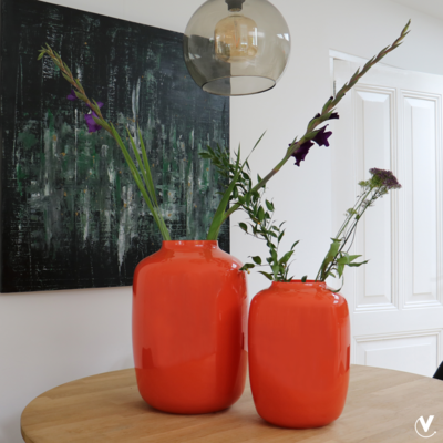 Vaas Artic orange