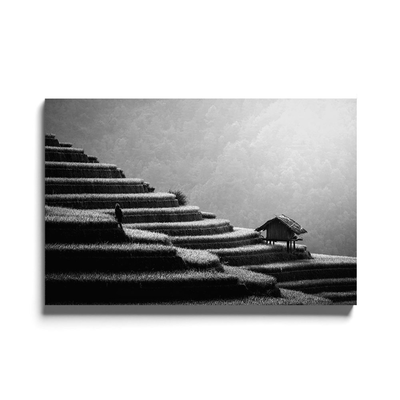 Walljar acrylglas schilderij - Field in China