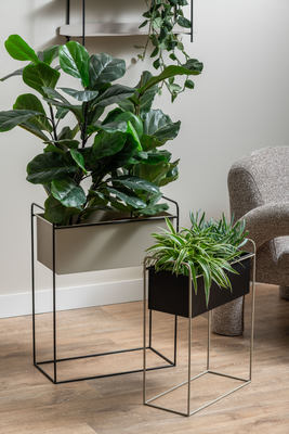 Plantenbak set Reina