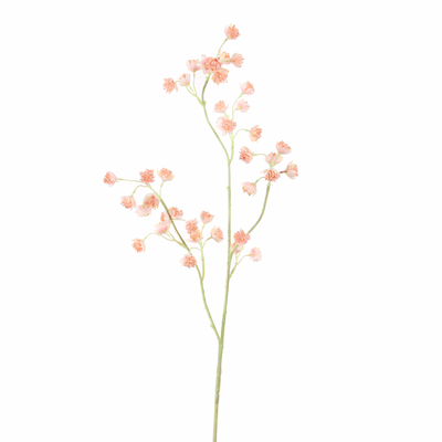 Zijde Astrantia – Perzik (set van 3)