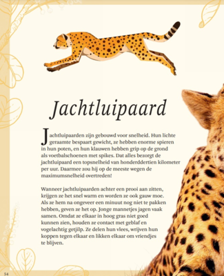 Terra Lannoo boek Het dikke boek van alle bijzondere Dieren