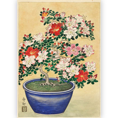 Poster Ohara Koson - Blooming Azalea in Blue Pot