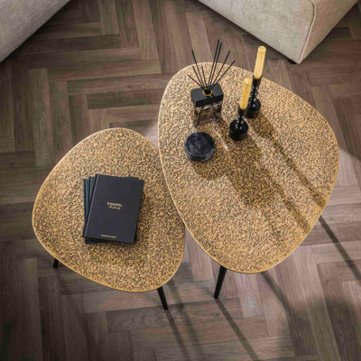 Salontafel Metallica Brons (set van 2)