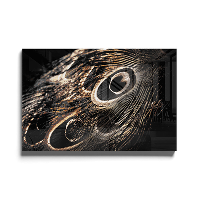 Walljar acrylglas schilderij - Peacock Feathers