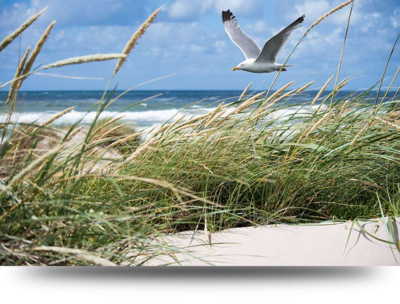 Canvas schilderijen Duinen, strand en zee