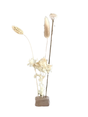 Droogbloem in klei M