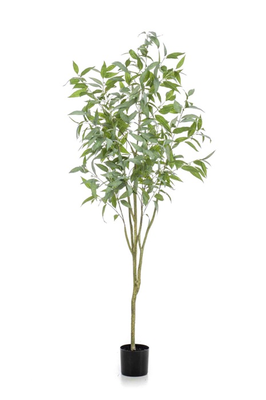 Eucalyptus Globulus kunstplant