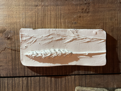 Wanddecoratie botanisch