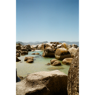 Foto op plexiglas Penguin Beach by Caily Bobbie Jo