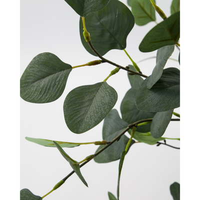 Kunstplant Eucalyptus