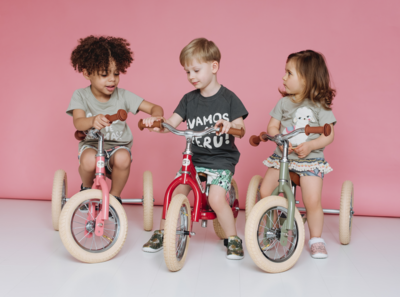 Try Bike driewieler Roze