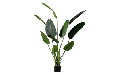 Kunstplant Strelitzia