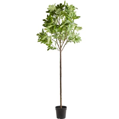 Kunstplant Vijg