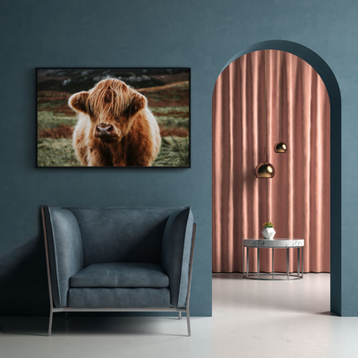 Walljar plexiglas schilderij - Schotse Hooglander