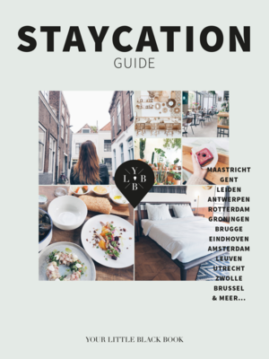 Terra Lannoo boek Staycation Guide