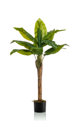 Kunst Bananenplant