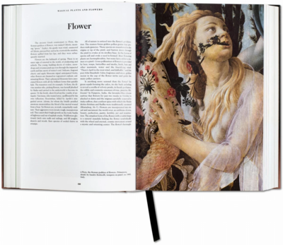 Taschen boek The Book of Symbols. Reflections on Archetypal Images