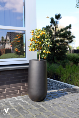 Plantenpot Idaho black