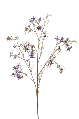 Kunsttak Fosysthia - set van 2