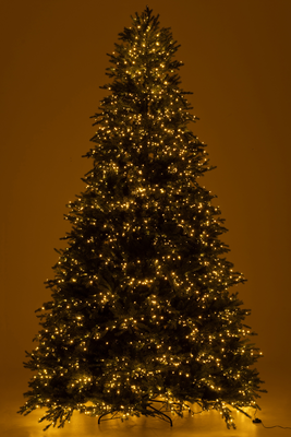 Kerstboom 3000 LED donkergroen 