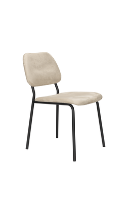 Dutchbone eetkamerstoel Darby (set van 2)