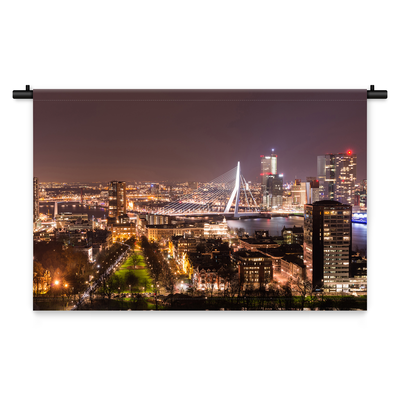 Wandkleed Skyline van Rotterdam in de avond gezien.