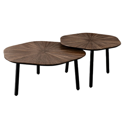 Salontafel set van 2 Tampa
