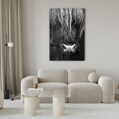 Walljar acrylglas schilderij - Close up Ox