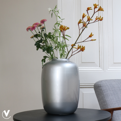 Vaas Artic silver