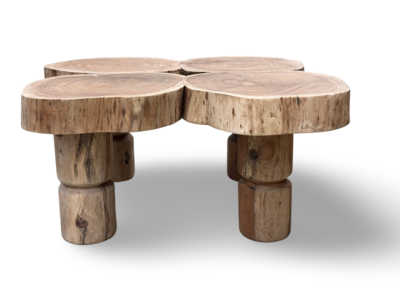 Salontafel naturel uniek