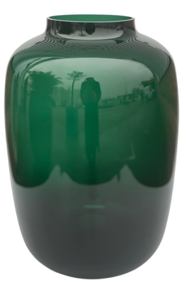 Vaas Artic dark green